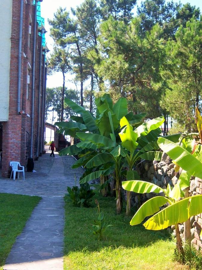 Old House Hotel Ureki Dış mekan fotoğraf